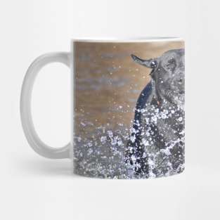 Water Fun Mug